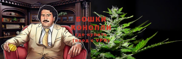 шишки Алзамай