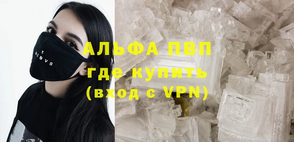 шишки Алзамай