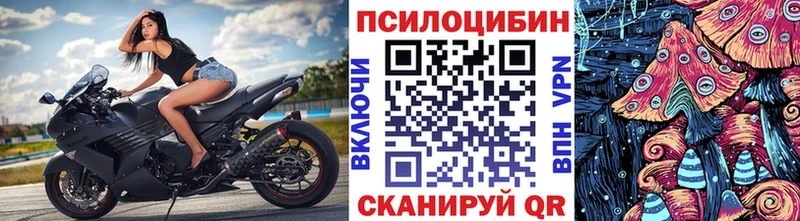 Галлюциногенные грибы прущие грибы  Ивангород 